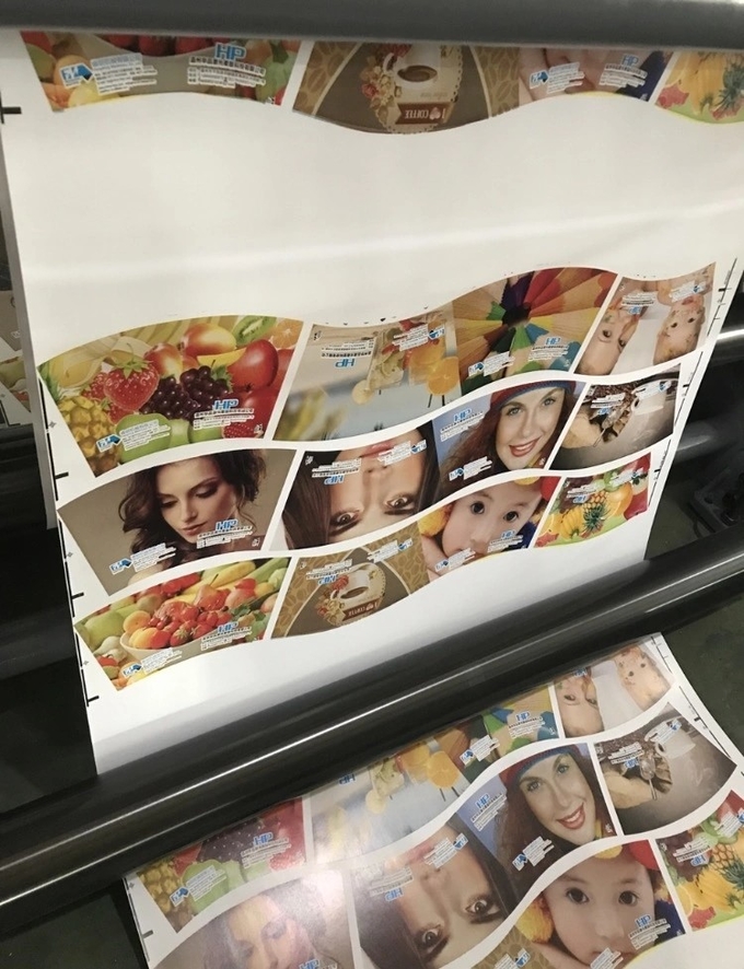 Bopp plástico degradable 0 dos pp do animal de estimação do pvc dos rolos de filme do pla da cor 1350mm de YH-2000 150m/Min Flexographic Printing Machine 6