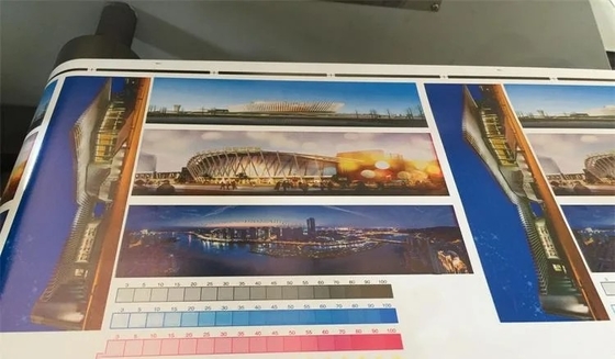 4 largura imprimindo máxima de Flexo Printer#450mm da etiqueta da precisão da máquina de impressão 320mm da etiqueta de Flexo do rolo da cor 80m/Min#±0.1mm