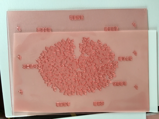 Resina de alta velocidade do nylon da placa de impressão 1.7mm de Photopolymer Flexo